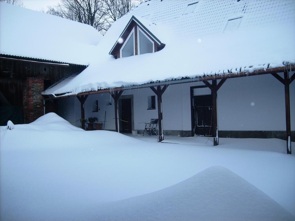 Penzion U Dvojice Hotel Nove Mesto na Morave Exterior foto