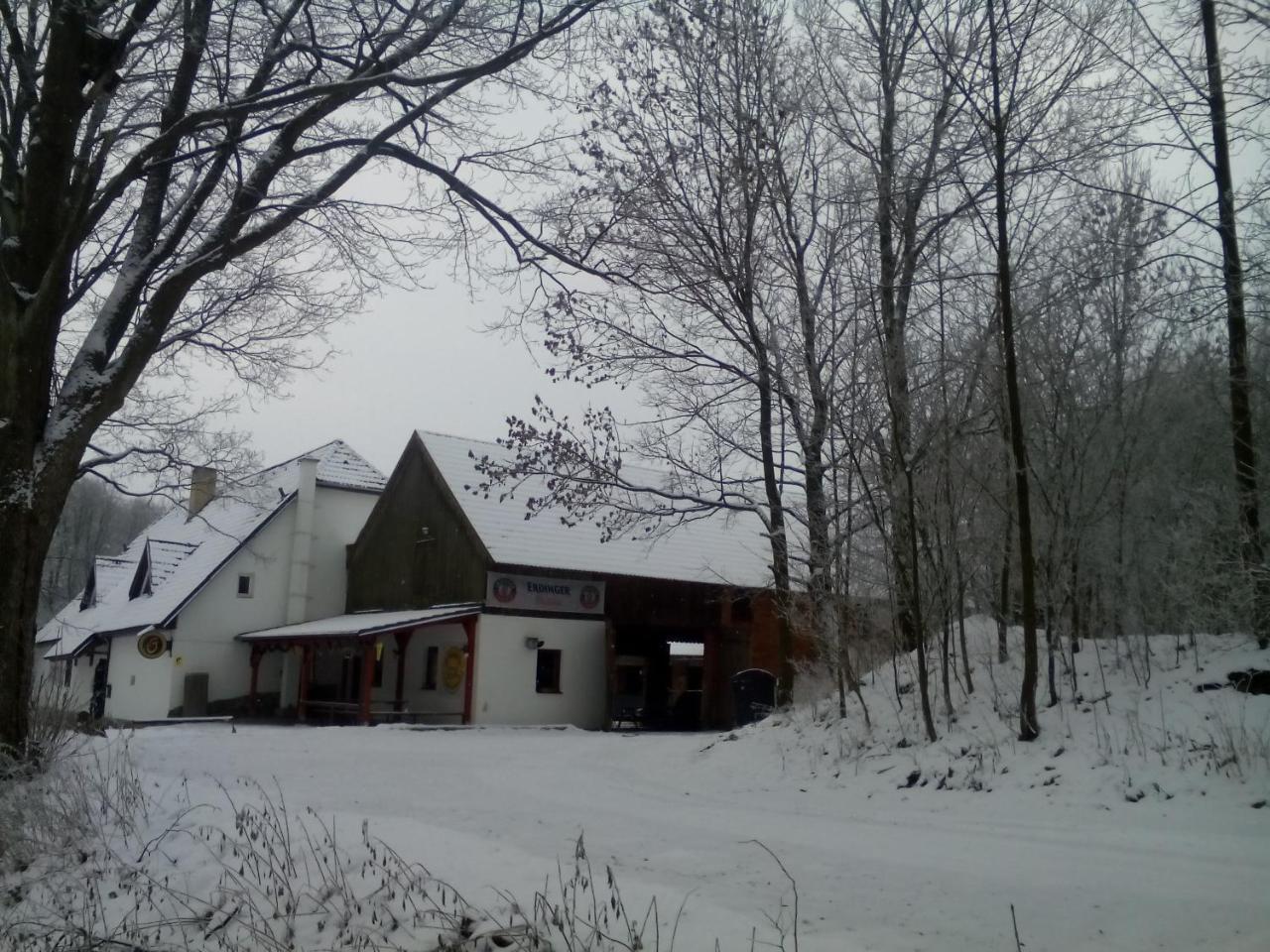 Penzion U Dvojice Hotel Nove Mesto na Morave Exterior foto